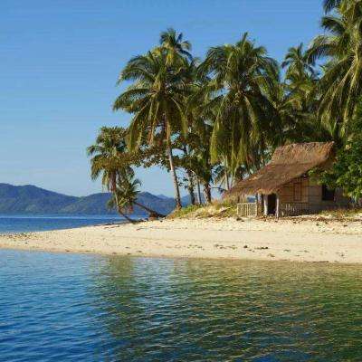 一肖三码app下载